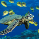 CryptoEnthusiasist avatar