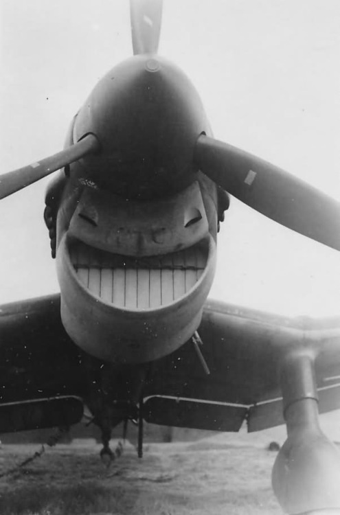 Stuka avatar