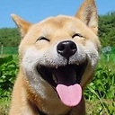 haolee avatar