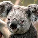 Rajnish Kumar Soni avatar