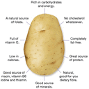 potato avatar