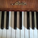 Mathias Müller avatar