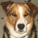 lakeweb avatar