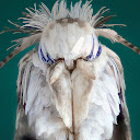 moth avatar