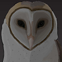 Owl avatar