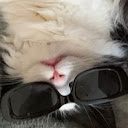 CrazyVideoGamer avatar