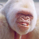 Rob avatar