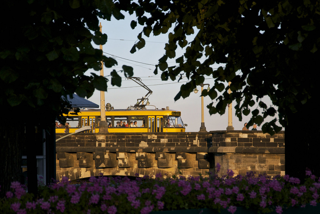 Golar Ramblar avatar