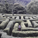 Fellipe Sanches avatar