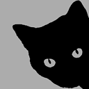 Top Cat avatar