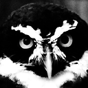 Gergely Lukacsy avatar