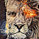 Greg Hales avatar