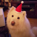 woofers avatar
